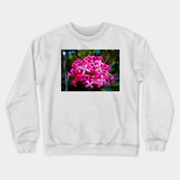 Hot Pink Tropical Cluster Crewneck Sweatshirt by bobmeyers